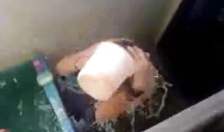 মেয়েদের হস্তমৈথুন, চেদা চোদি মেয়ে সমকামী