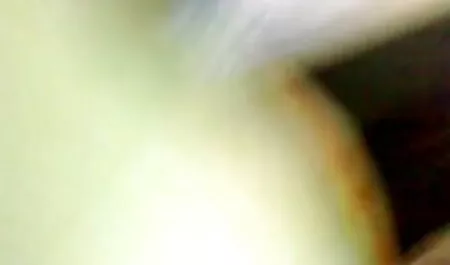 বড়ো মাই ছোট দের চোদা চোদি শ্যামাঙ্গিণী