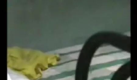 সুন্দরী বালিকা6 বাংলা দেশের চোদাচোদি ভিডিও