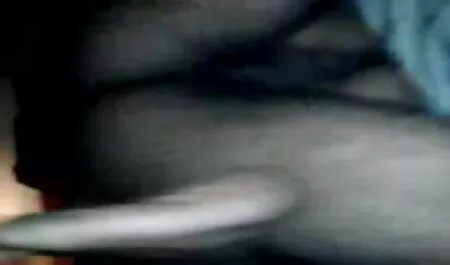 প্রিয় বাংলা চোদা চোদি বিডিও