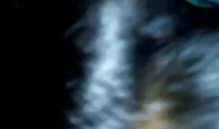 সিরি - কেউ সিরি 1080 পি বাংলা চোদা চোদি video নামে