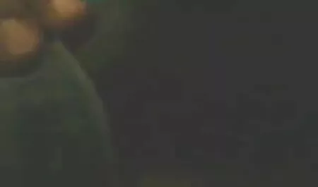 ওকে, খেলনা, মেয়েদের চোদা চোদি video হস্তমৈথুন