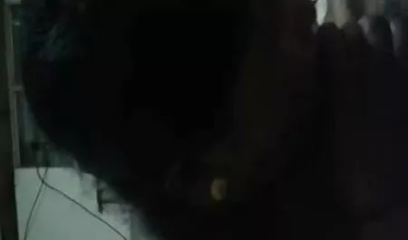ভিতরে সরানো হয়েছে বাংলা চোদাচোদি বিডিও