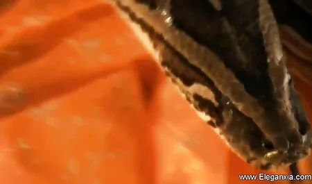 স্বামী ও ছোট দের চোদা চোদি স্ত্রী