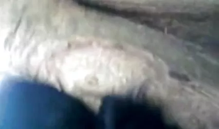 Orgasmes Reels চোদা চোদি করা