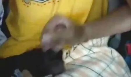 ড. বাঁড়ার রস খাবার, সরাসরি চোদা চোদি গলাধঃকরণ